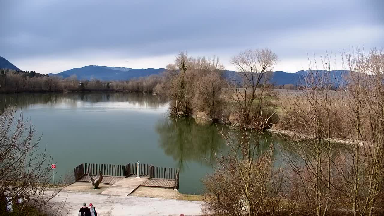 Webcam Ribnik Vrbje – Žalec