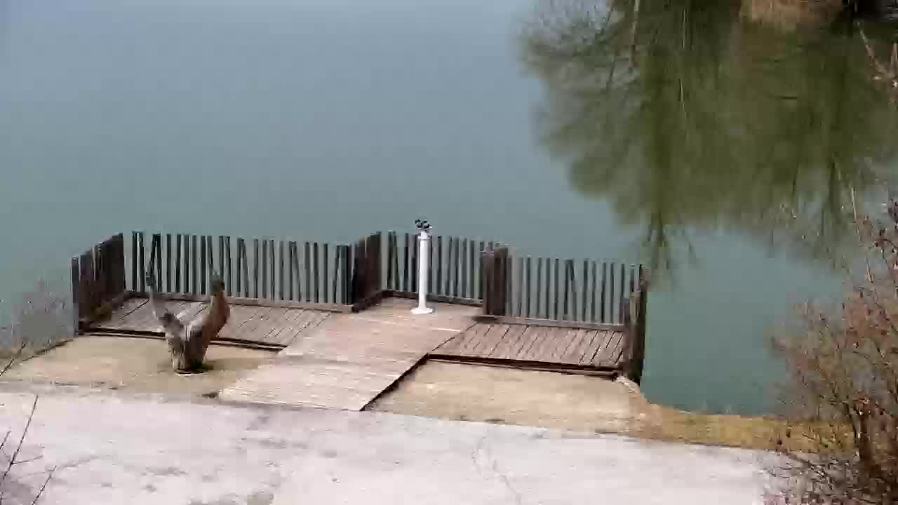 Spletna kamera Ribnik Vrbje – Žalec