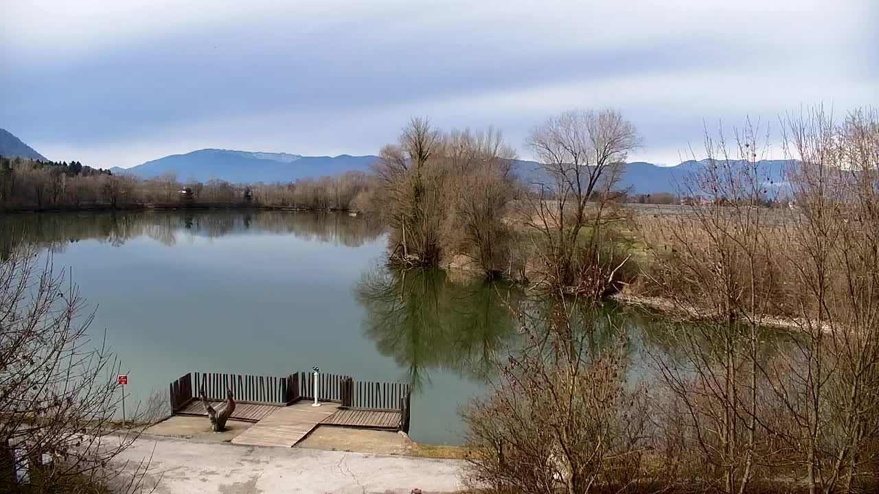 Webcam Ribnik Vrbje – Žalec