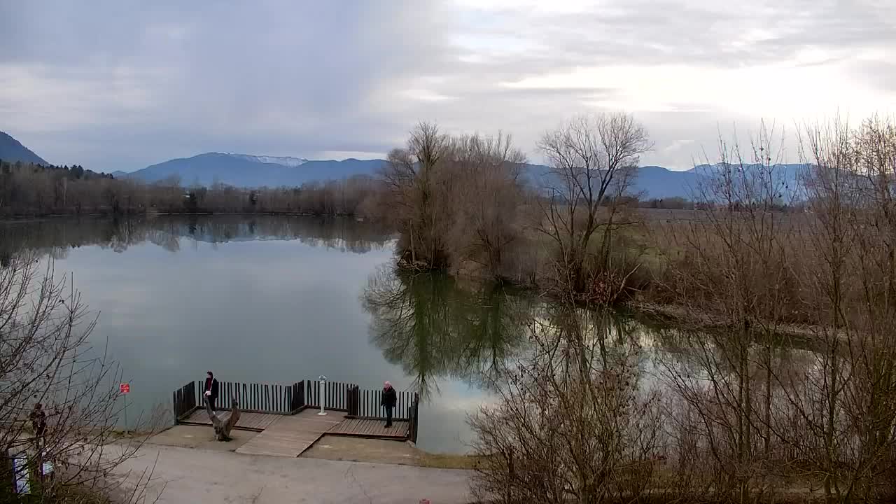 Webcam Ribnik Vrbje – Žalec