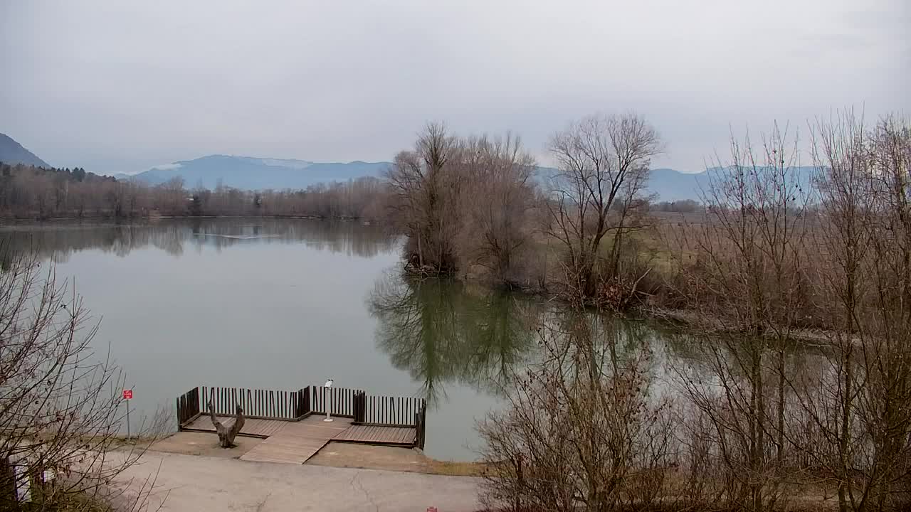 Web kamera Ribnik Vrbje – Žalec