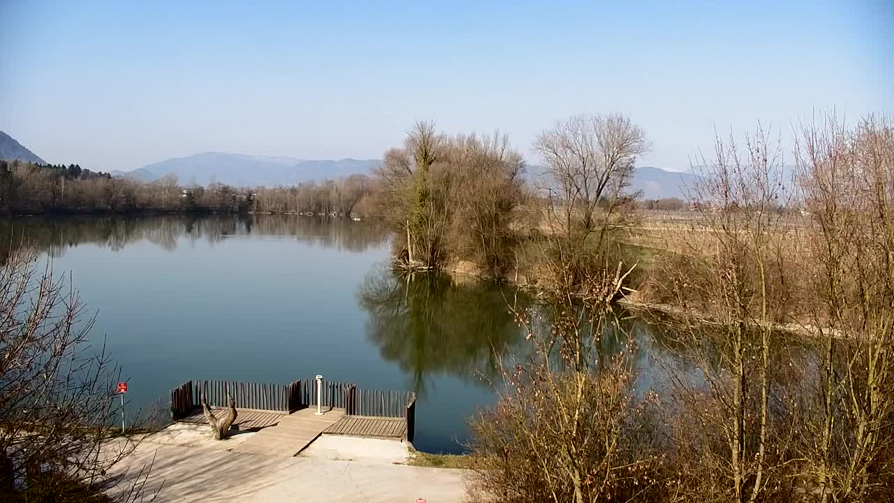 Webcam Ribnik Vrbje – Žalec