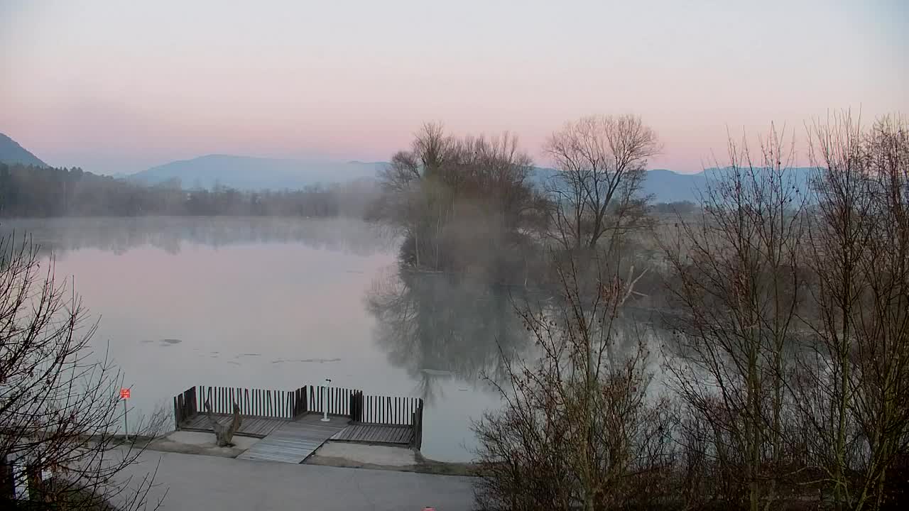 Webcam Ribnik Vrbje – Žalec