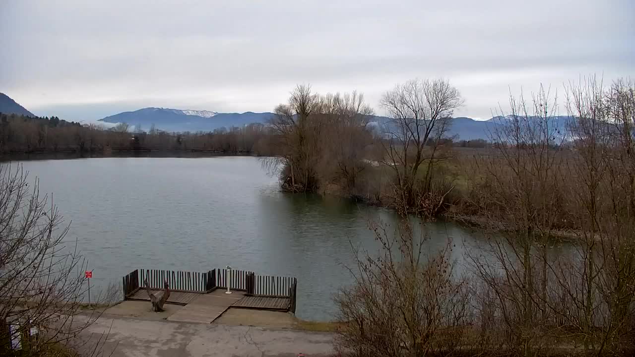 Web kamera Ribnik Vrbje – Žalec