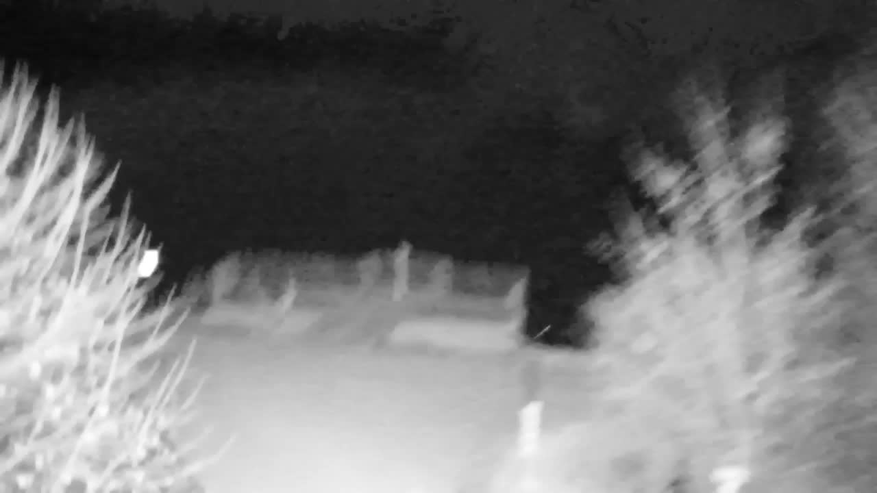 Webcam Ribnik Vrbje – Žalec