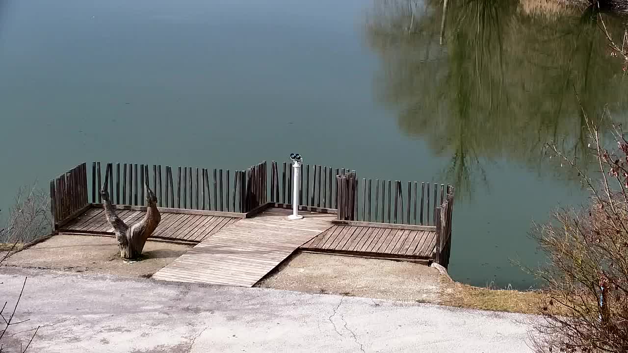 Web kamera Ribnik Vrbje – Žalec