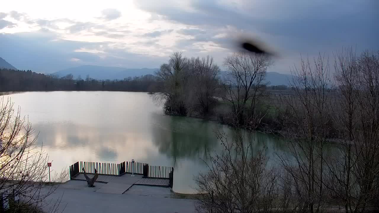 Webcam Ribnik Vrbje – Žalec