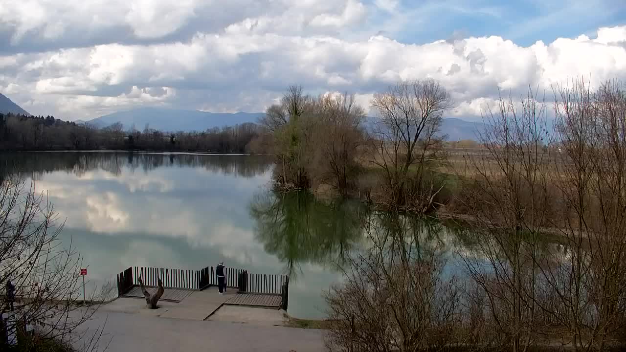 Webcam Ribnik Vrbje – Žalec