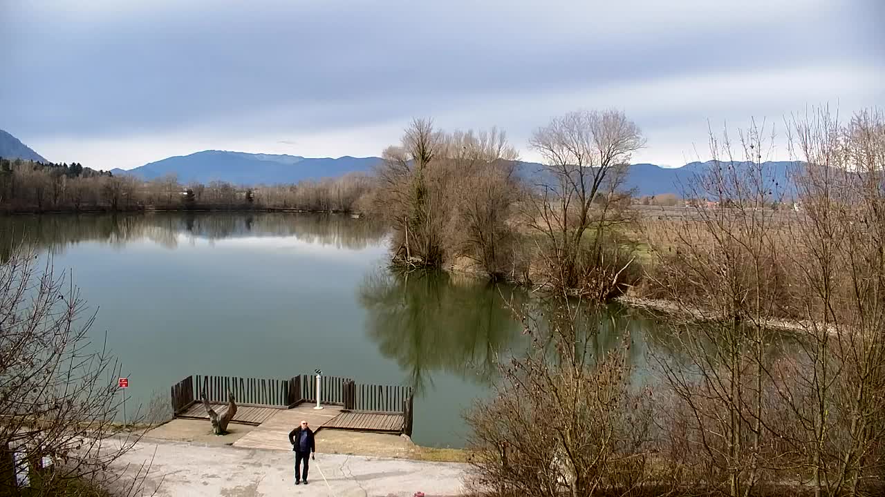 Webcam Ribnik Vrbje – Žalec