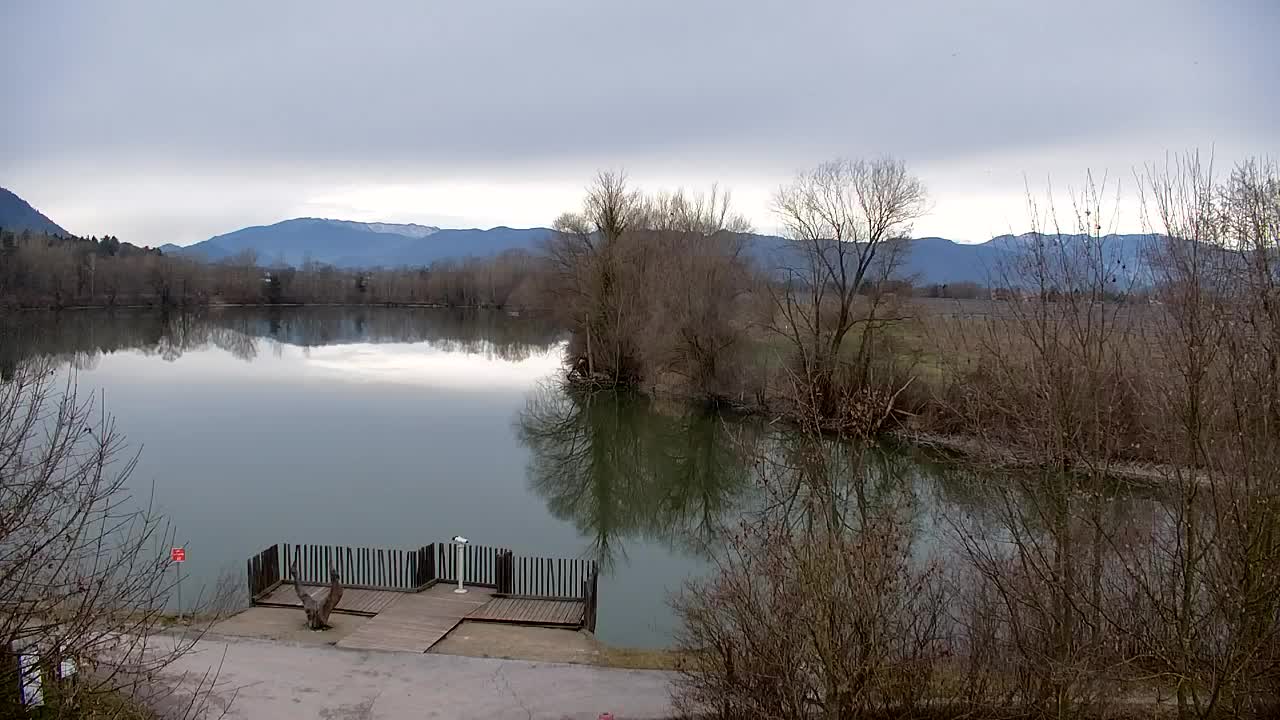 Spletna kamera Ribnik Vrbje – Žalec