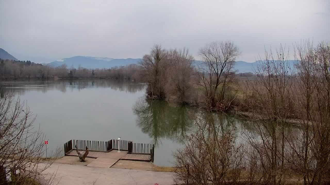 Spletna kamera Ribnik Vrbje – Žalec