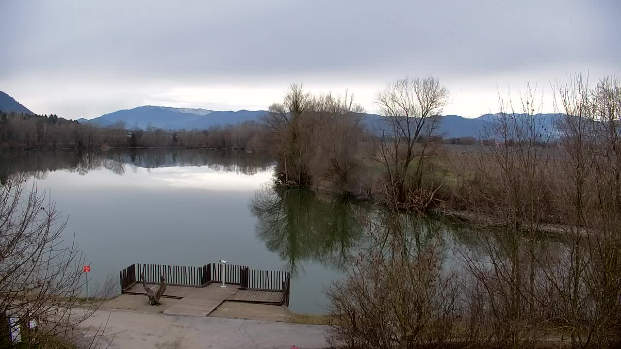 Web kamera Ribnik Vrbje – Žalec