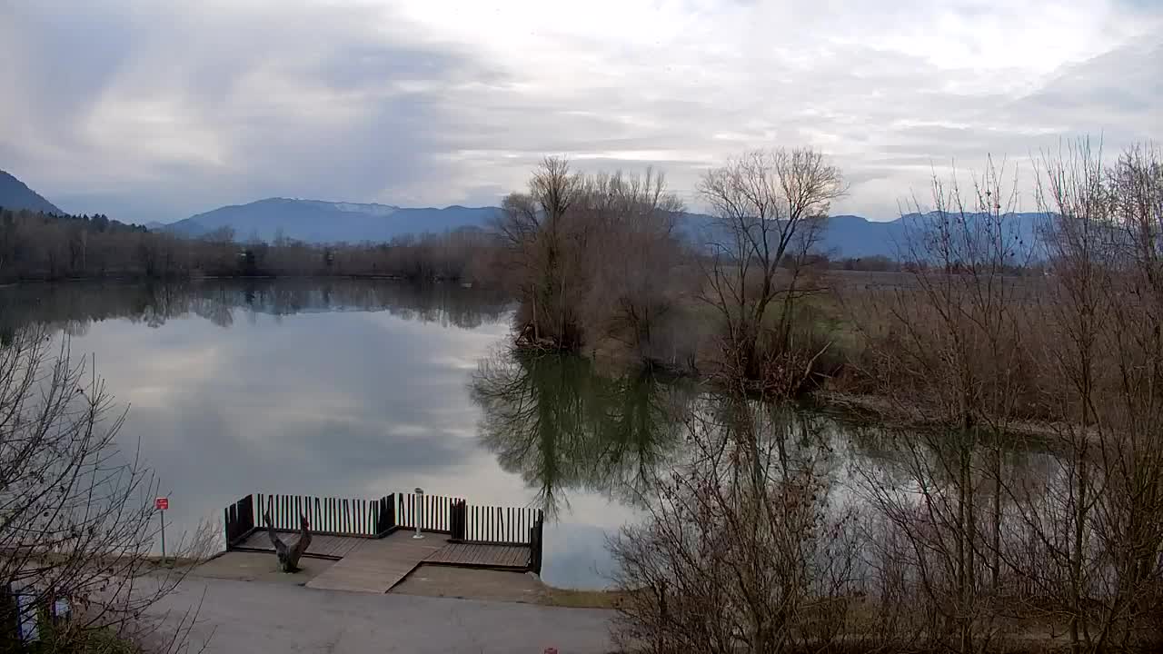 Webcam Ribnik Vrbje – Žalec