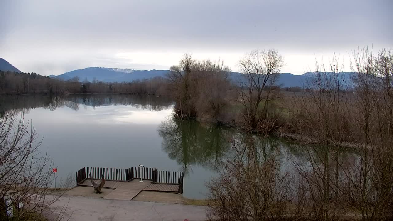 Webcam Ribnik Vrbje – Žalec