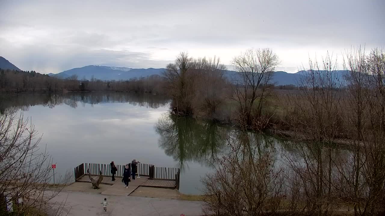 Spletna kamera Ribnik Vrbje – Žalec