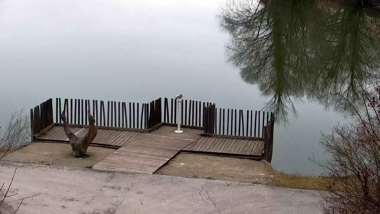 Webcam Ribnik Vrbje – Žalec