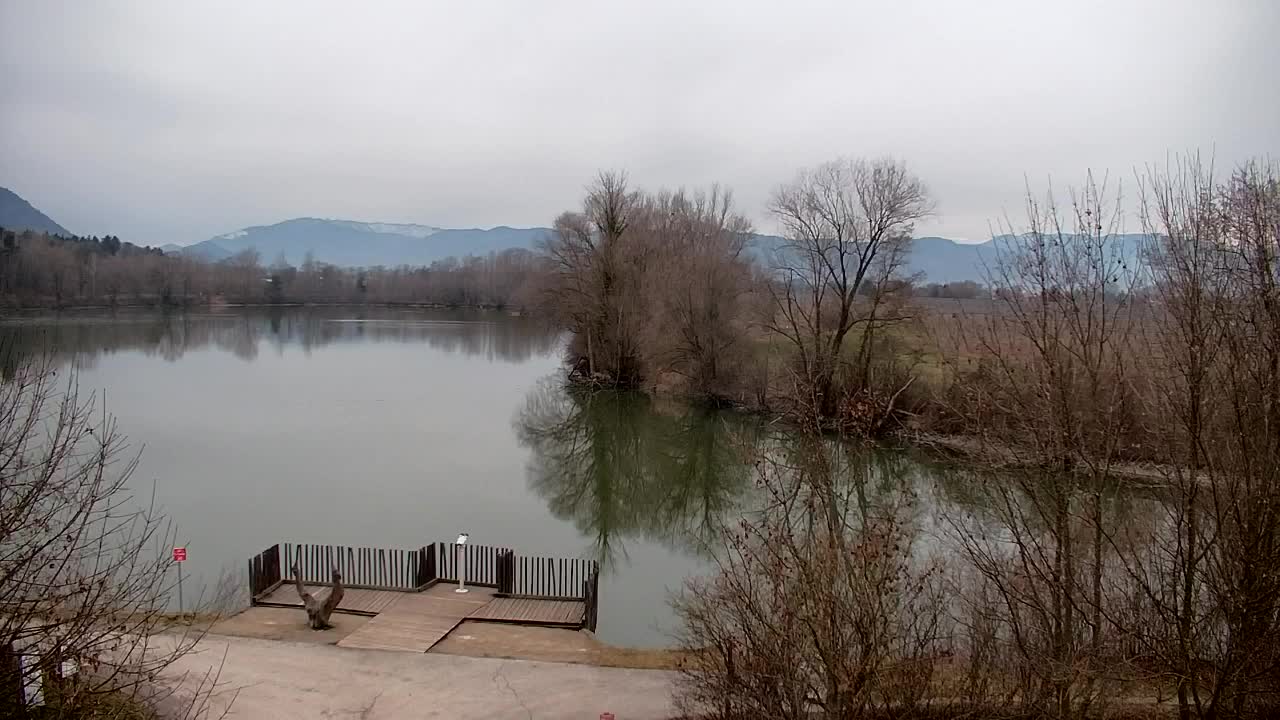 Spletna kamera Ribnik Vrbje – Žalec