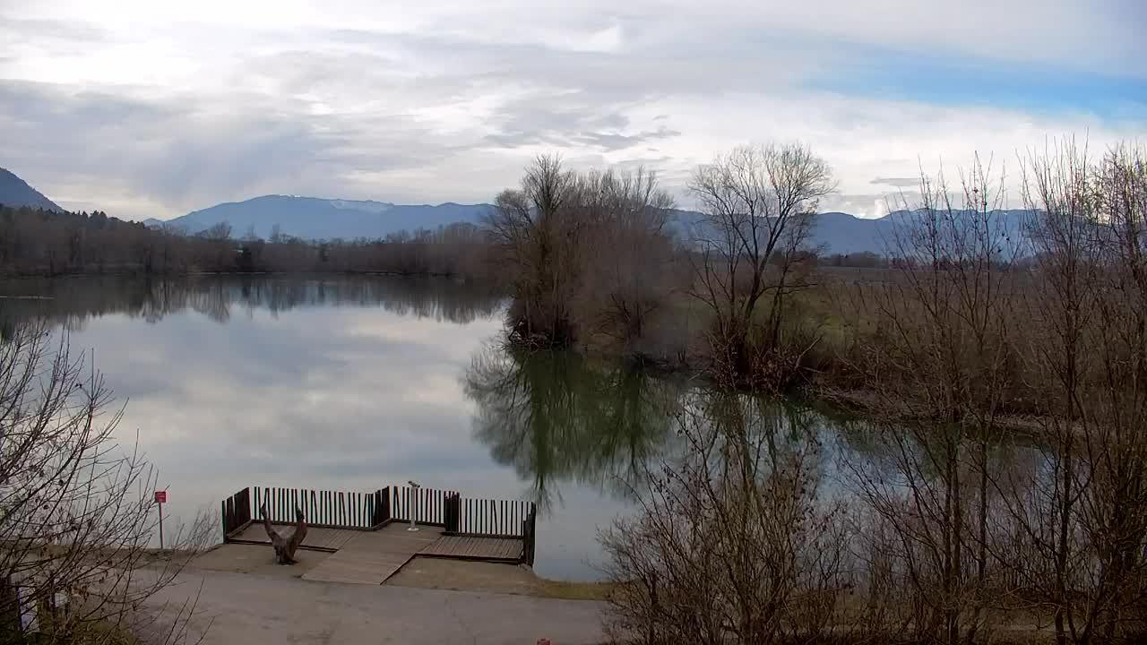 Webcam Ribnik Vrbje – Žalec