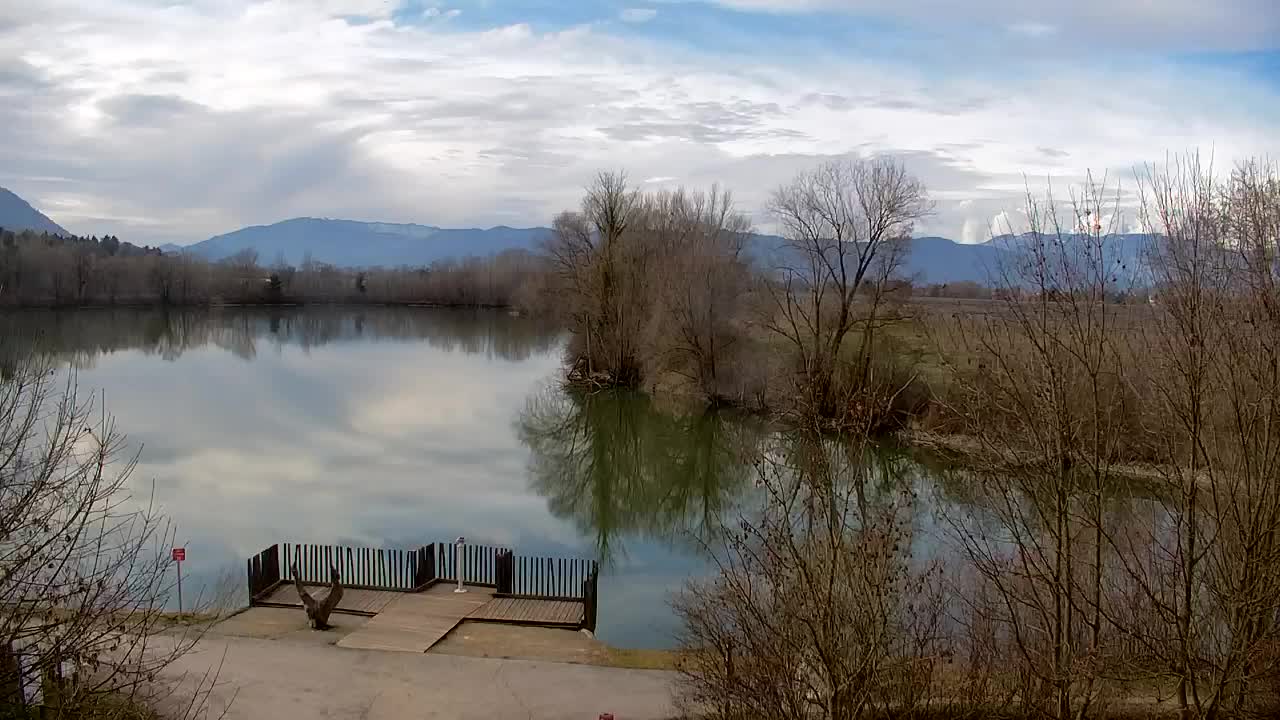 Spletna kamera Ribnik Vrbje – Žalec