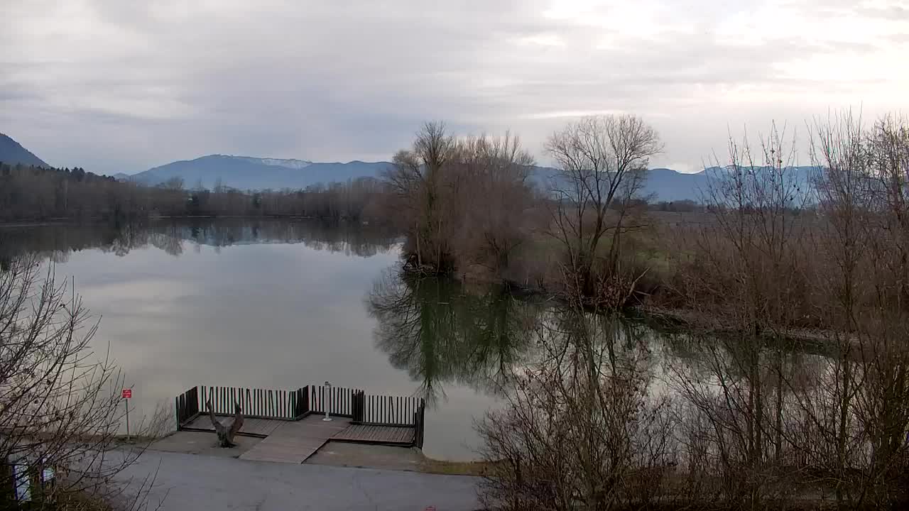 Spletna kamera Ribnik Vrbje – Žalec