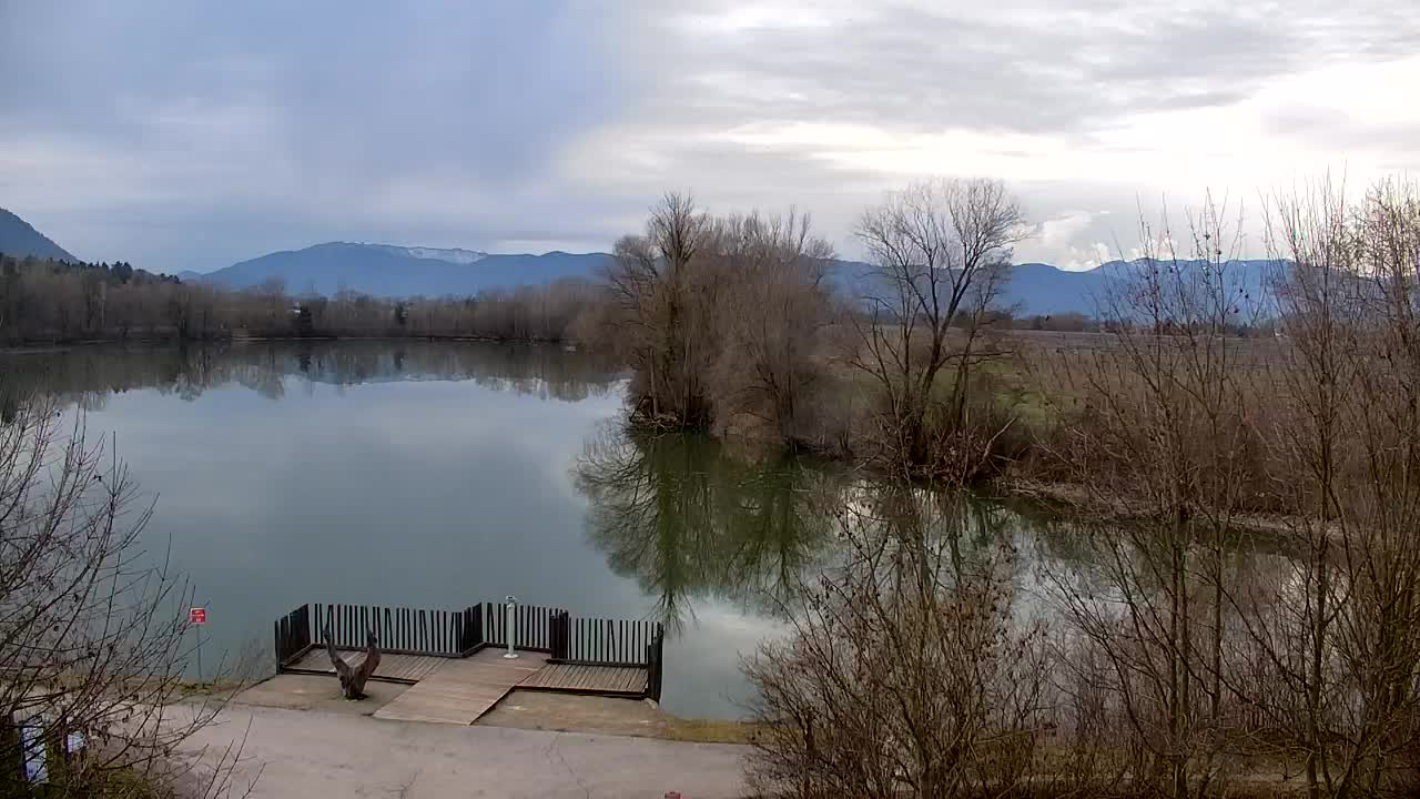 Webcam Ribnik Vrbje – Žalec