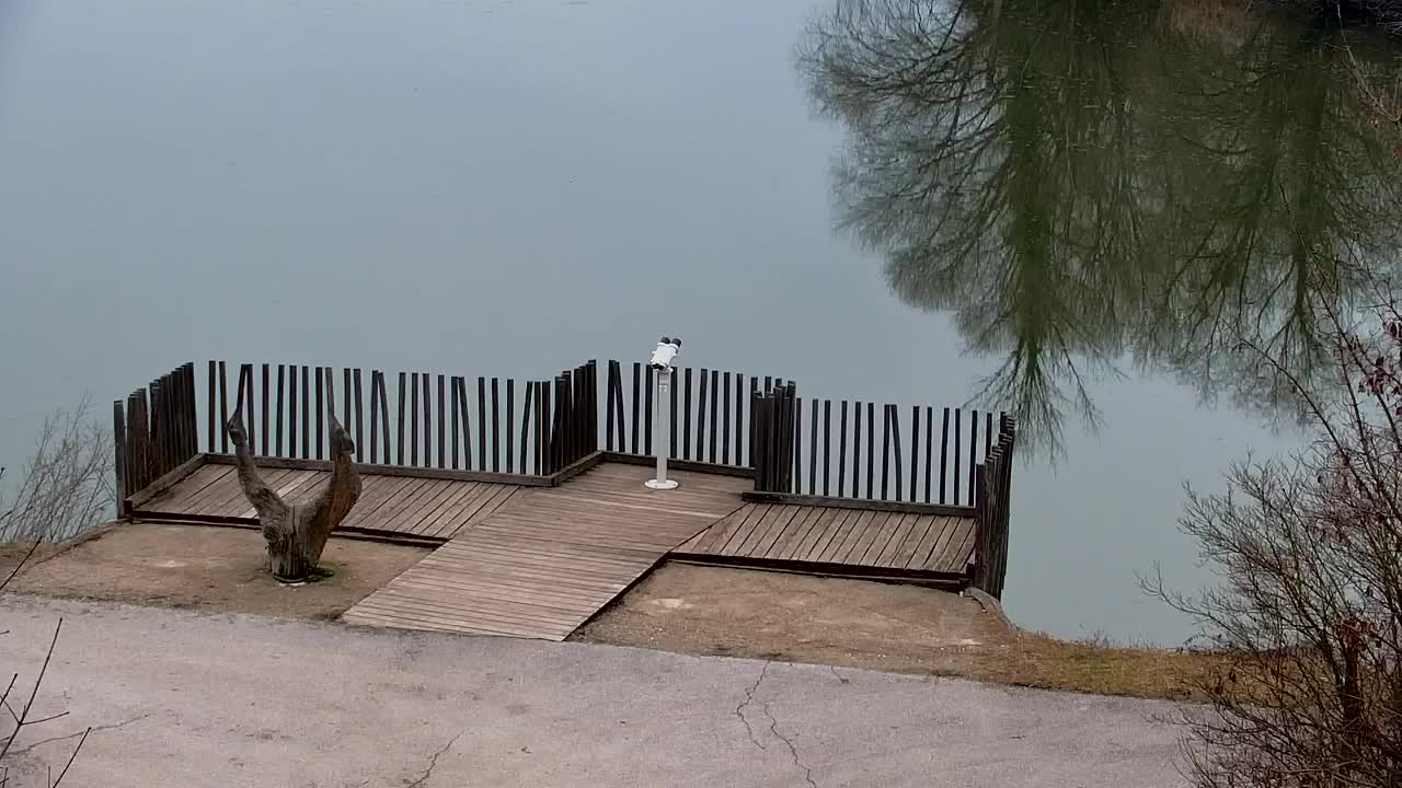 Webcam Ribnik Vrbje – Žalec