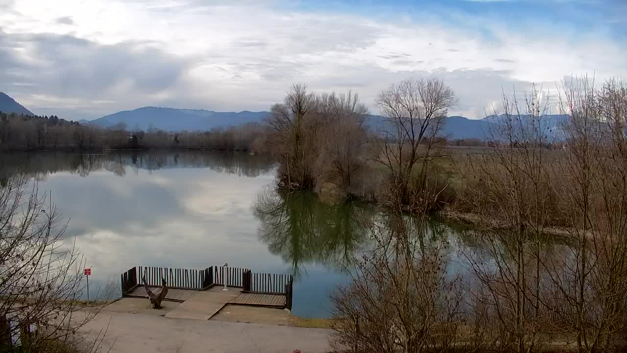 Webcam Ribnik Vrbje – Žalec