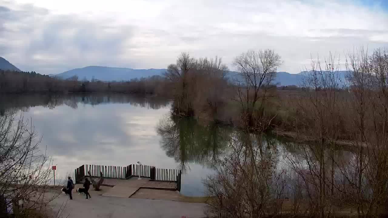 Webcam Ribnik Vrbje – Žalec