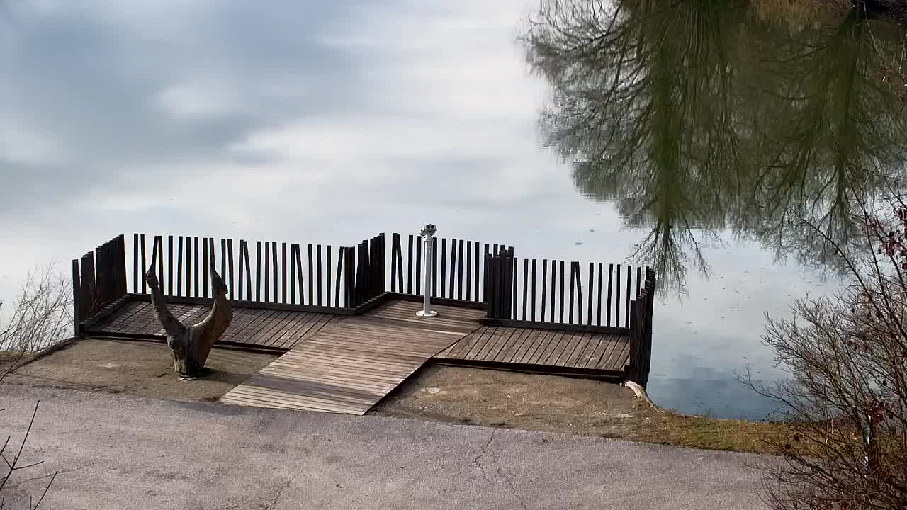 Spletna kamera Ribnik Vrbje – Žalec