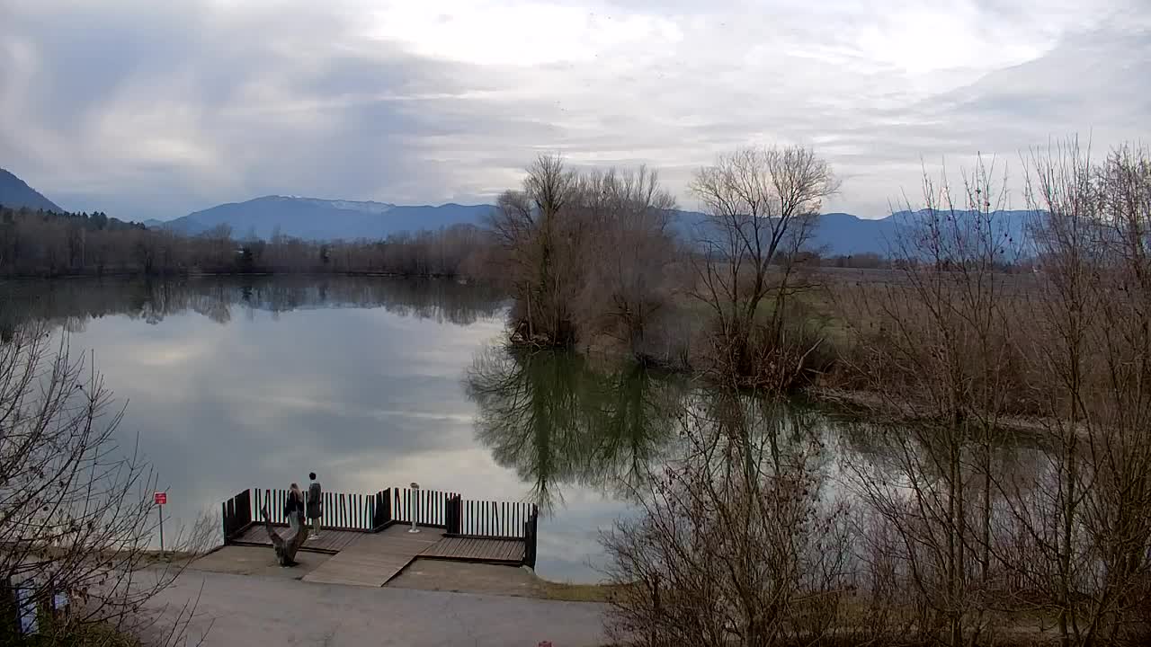 Webcam Ribnik Vrbje – Žalec