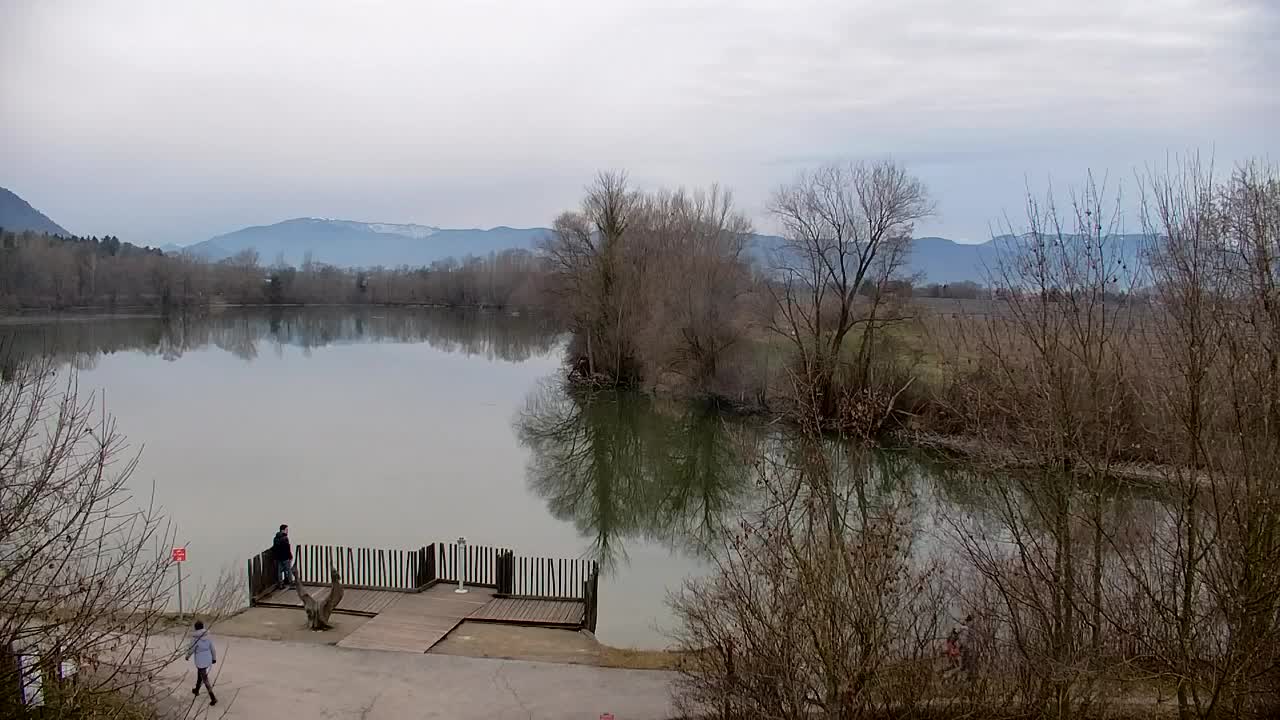 Webcam Ribnik Vrbje – Žalec