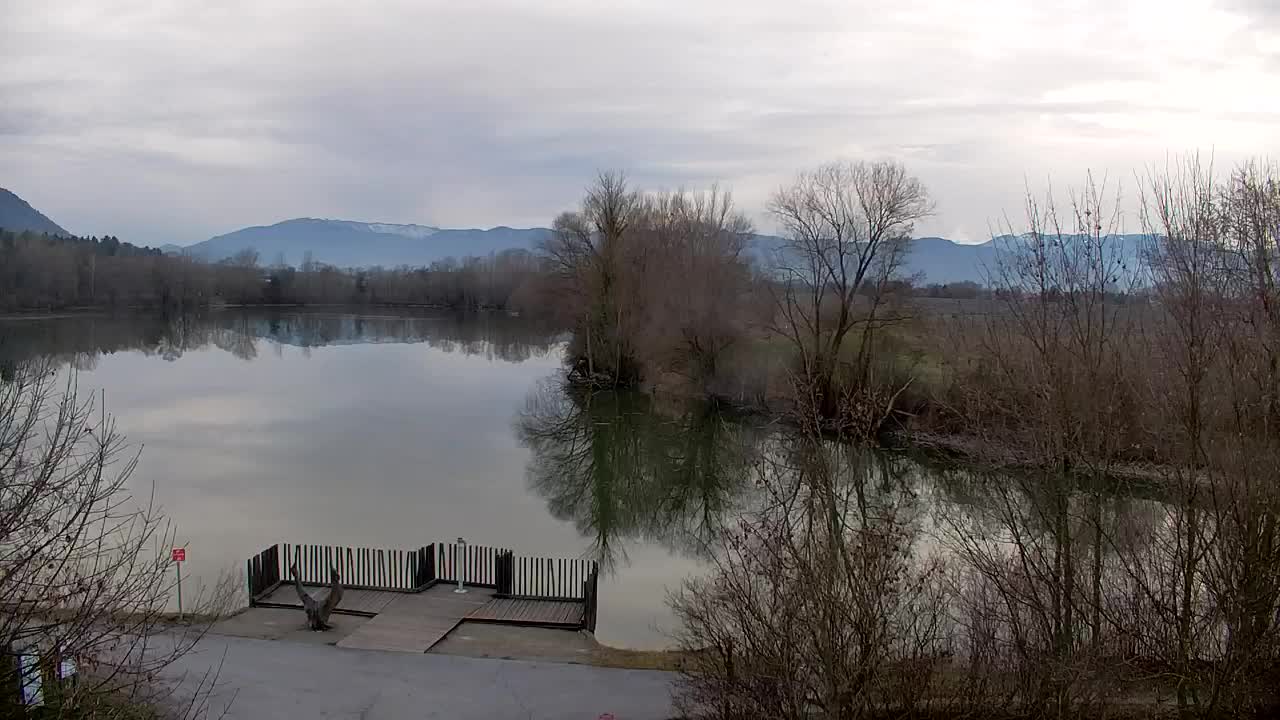 Webcam Ribnik Vrbje – Žalec