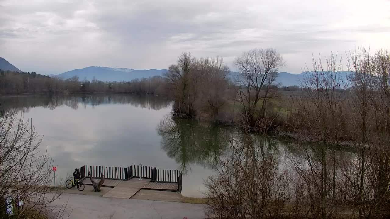 Spletna kamera Ribnik Vrbje – Žalec