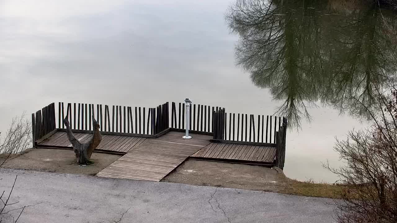 Webcam Ribnik Vrbje – Žalec