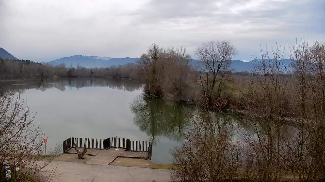 Spletna kamera Ribnik Vrbje – Žalec