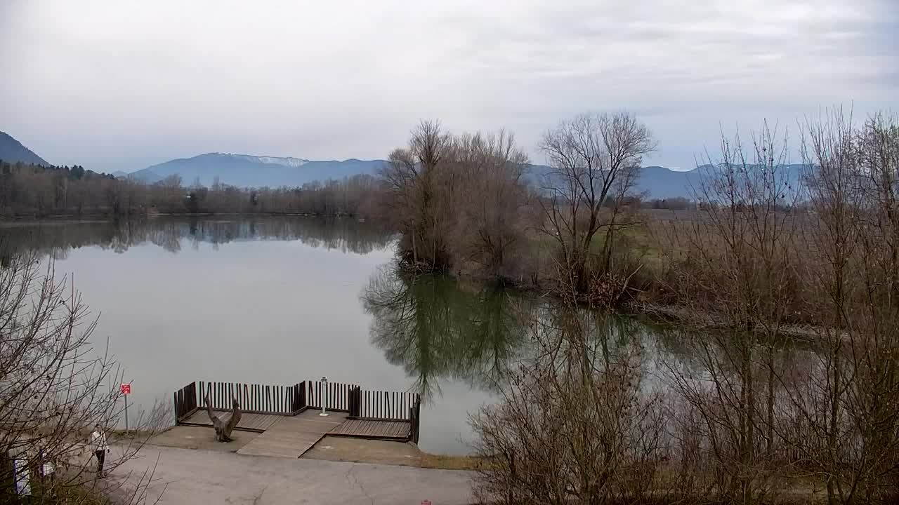 Webcam Ribnik Vrbje – Žalec