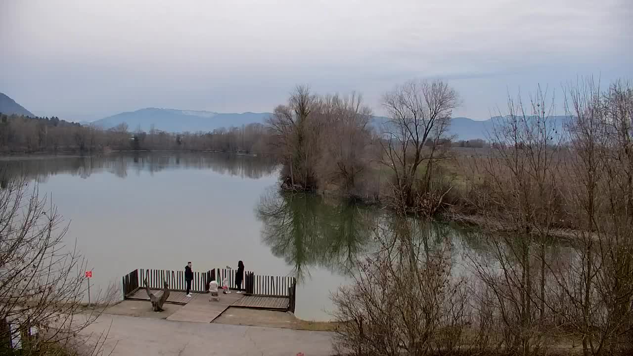 Webcam Ribnik Vrbje – Žalec