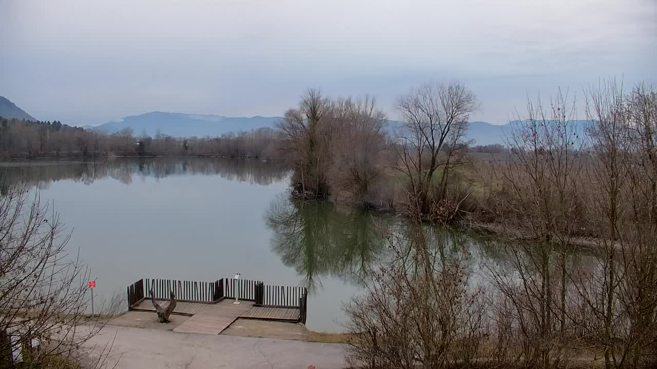 Webcam Ribnik Vrbje – Žalec