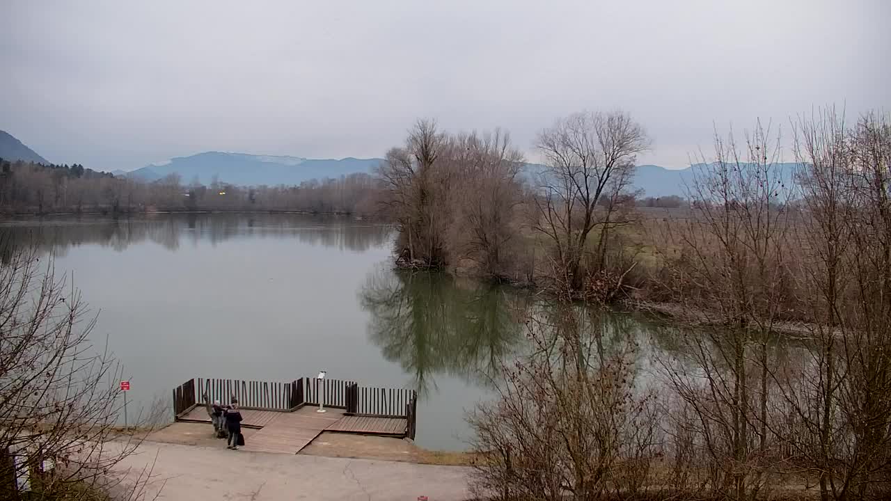 Webcam Ribnik Vrbje – Žalec