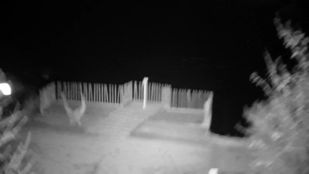 Webcam Ribnik Vrbje – Žalec