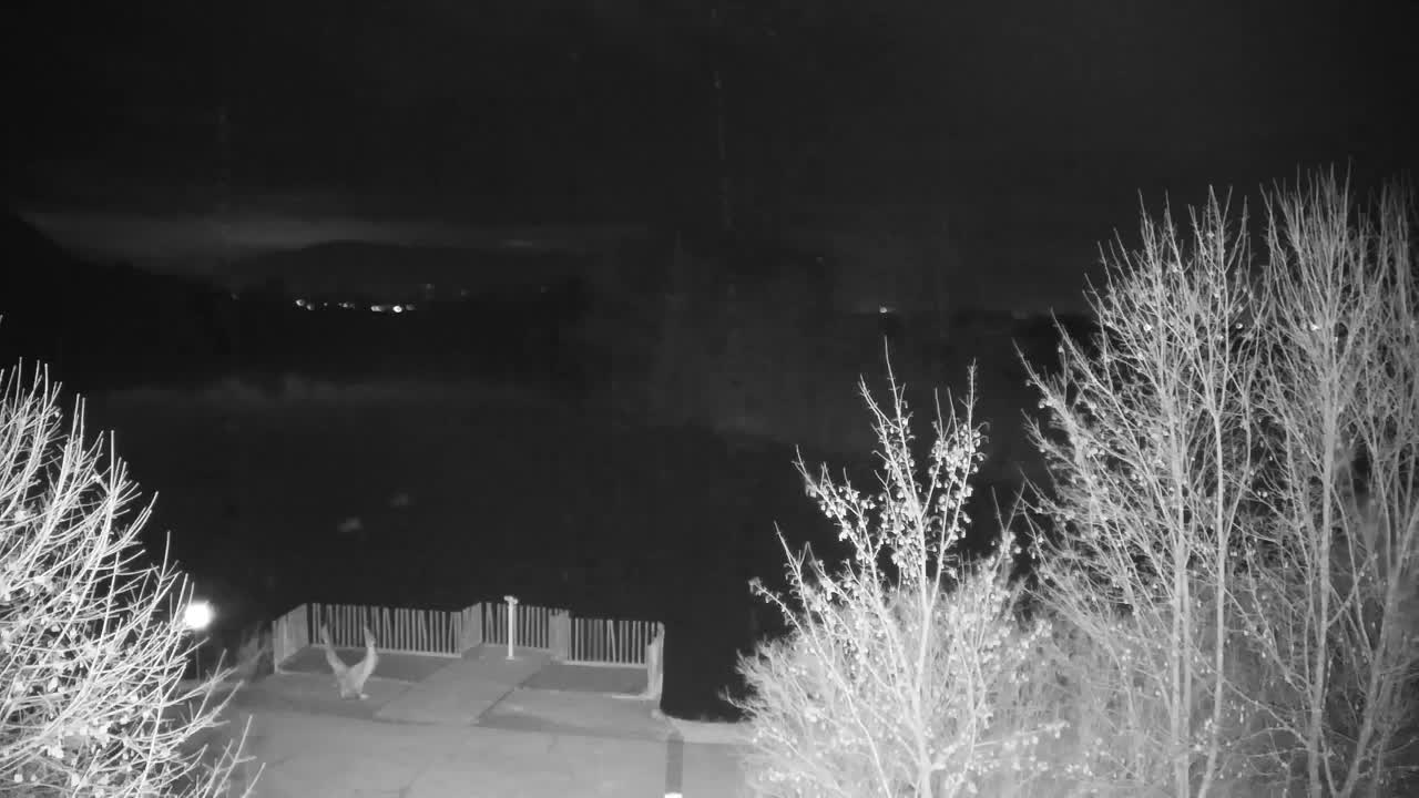 Webcam Ribnik Vrbje – Žalec