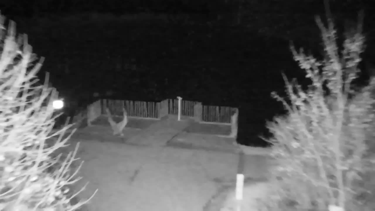 Webcam Ribnik Vrbje – Žalec