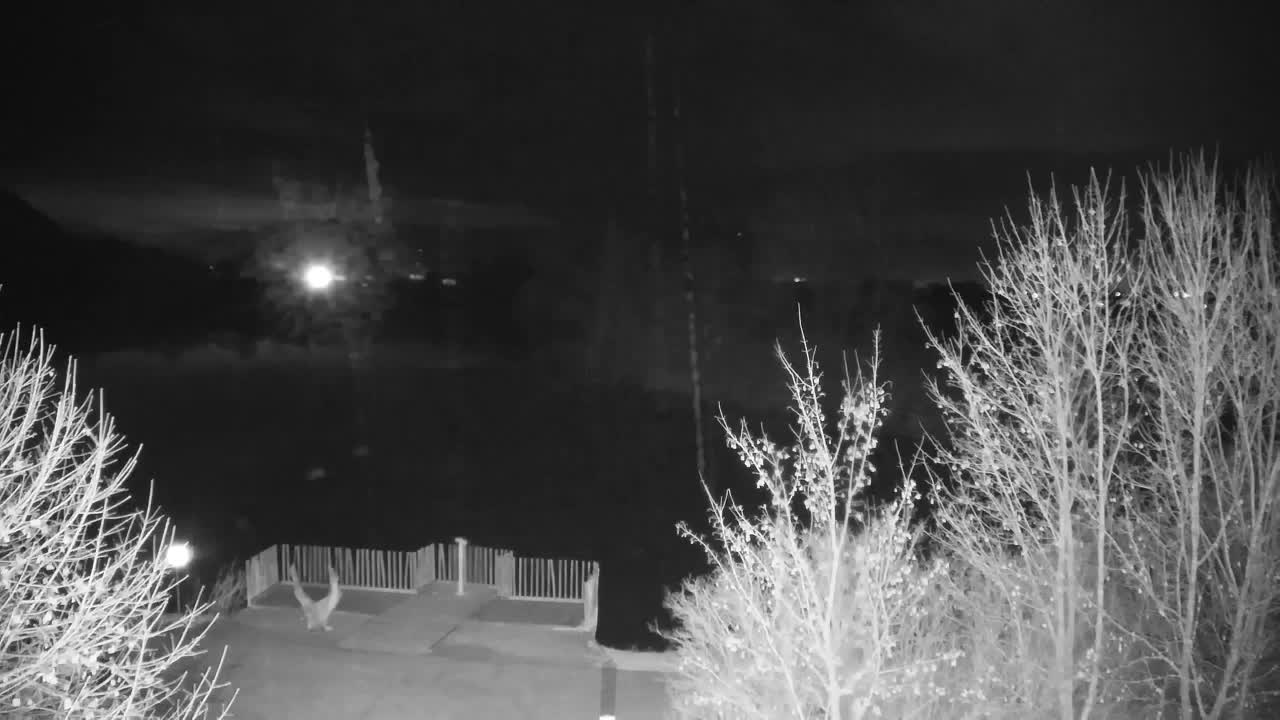 Spletna kamera Ribnik Vrbje – Žalec