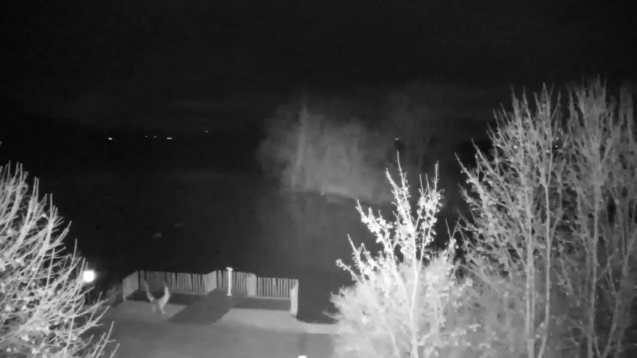 Spletna kamera Ribnik Vrbje – Žalec