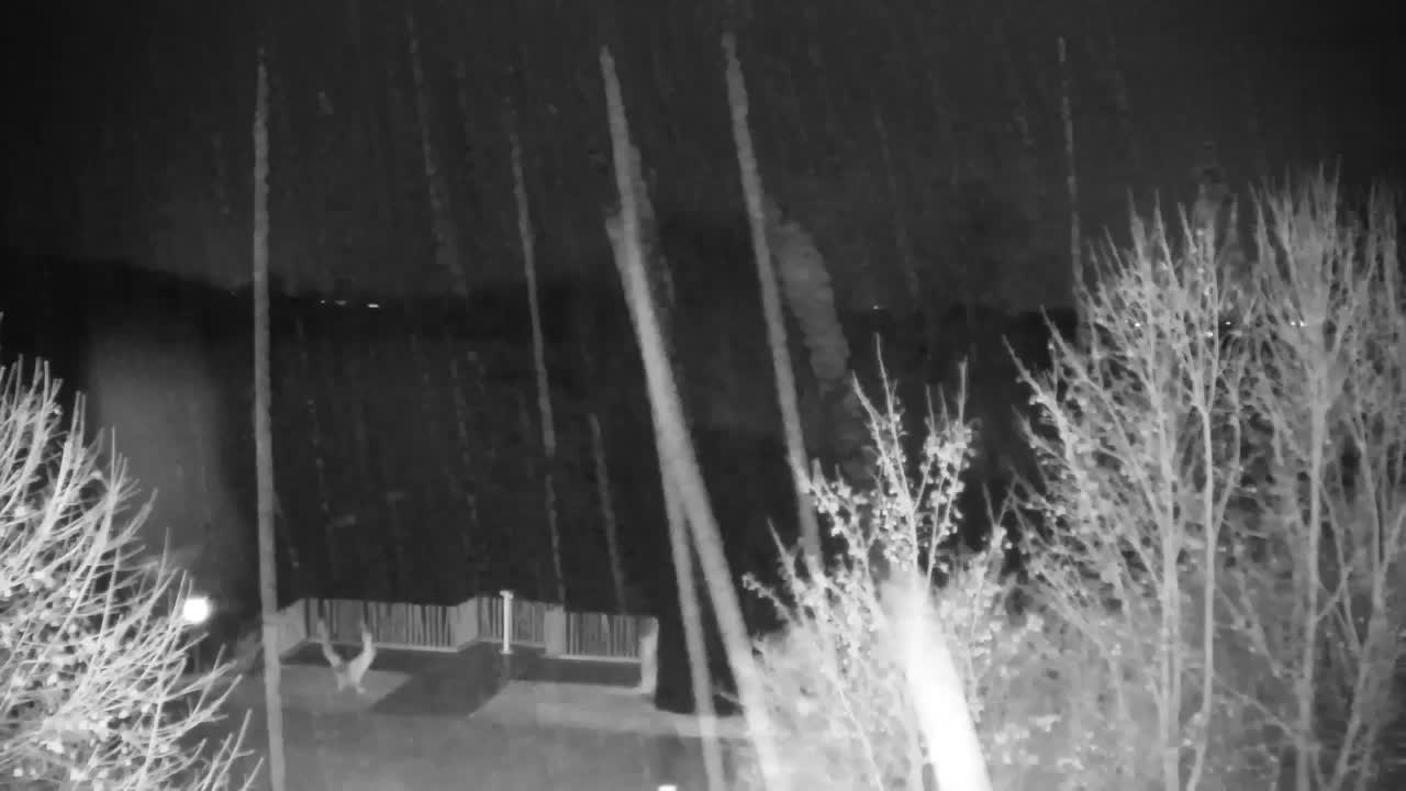 Webcam Ribnik Vrbje – Žalec