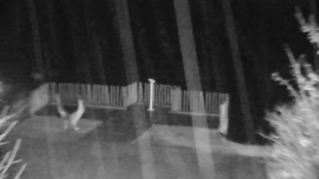 Webcam Ribnik Vrbje – Žalec