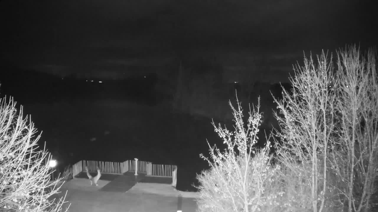 Webcam Ribnik Vrbje – Žalec