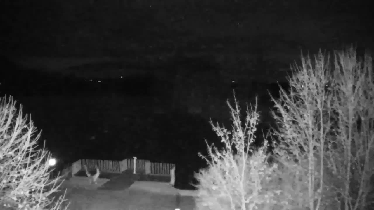 Webcam Ribnik Vrbje – Žalec