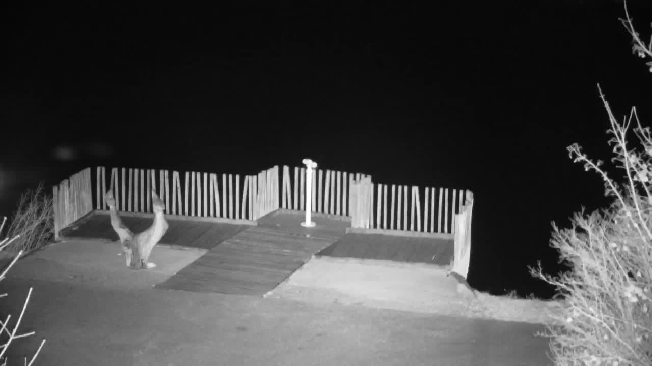 Webcam Ribnik Vrbje – Žalec