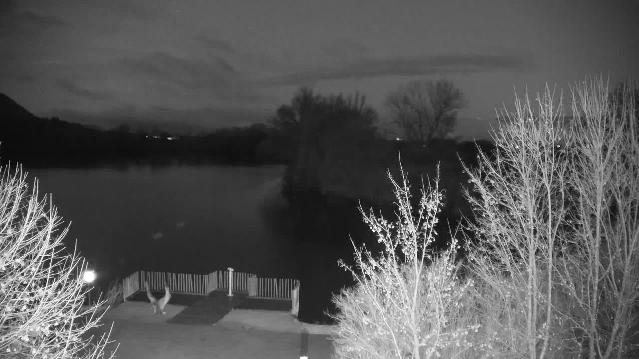 Webcam Ribnik Vrbje – Žalec